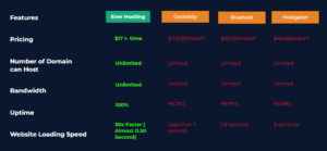 EVER Hosting review