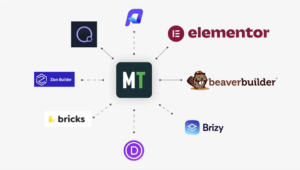 Microthemer Review- Overview